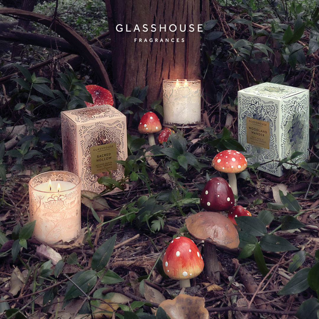 Woodland Wander Limited Edition 380G Candle | Glasshouse