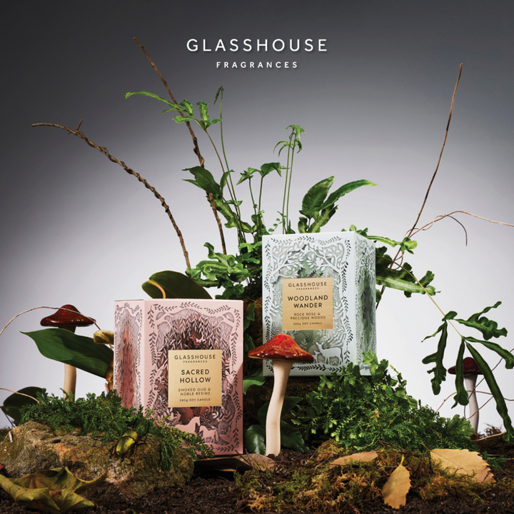 Woodland Wander Limited Edition 380G Candle | Glasshouse